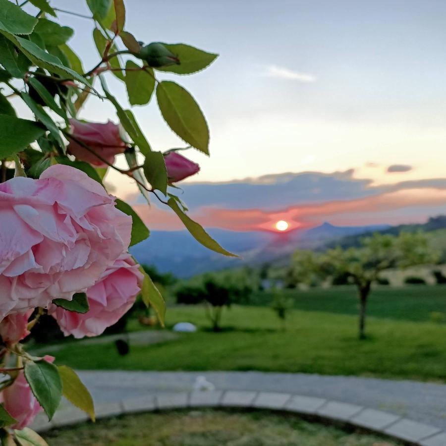 Agriturismo La Casetta - Ospitalita Rurale Familiare 蒙特塞 外观 照片