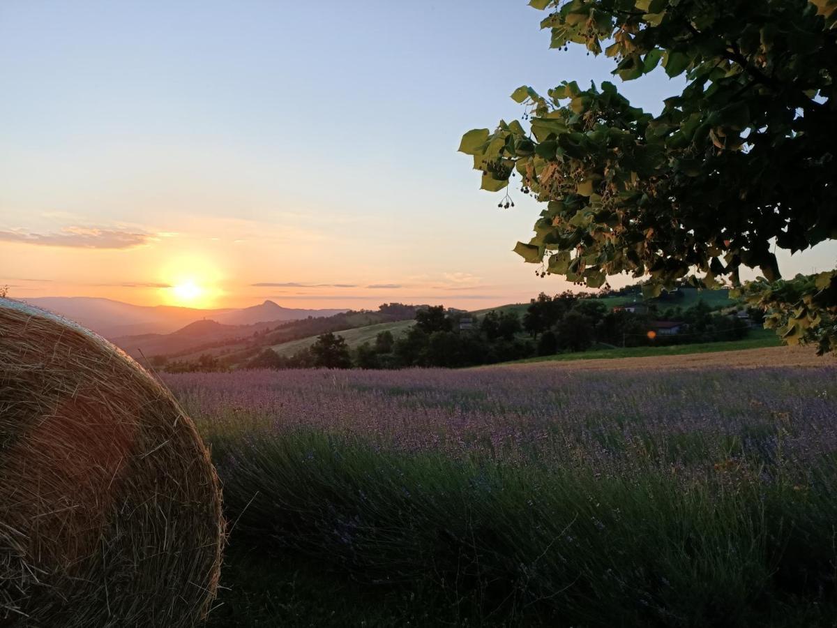 Agriturismo La Casetta - Ospitalita Rurale Familiare 蒙特塞 外观 照片