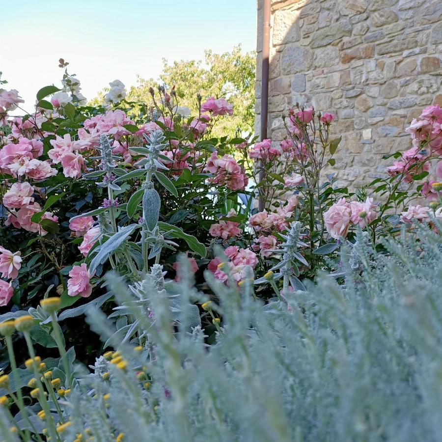 Agriturismo La Casetta - Ospitalita Rurale Familiare 蒙特塞 外观 照片
